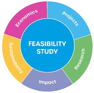 feasibilitystudy.org